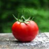 benefits of tomato on skin